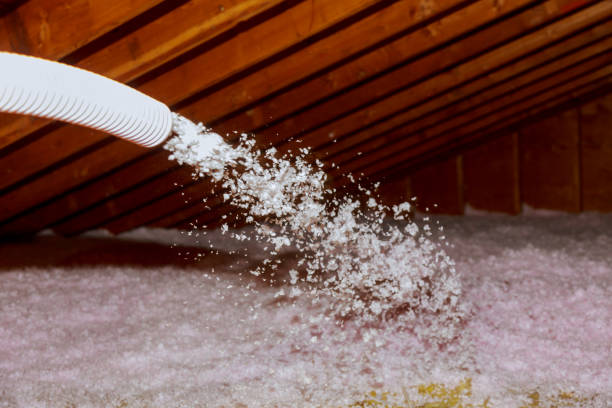 Best Insulation for Specific Applications in Westke, LA
